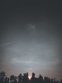 Low angle view of silhouette trees against sky at sunset