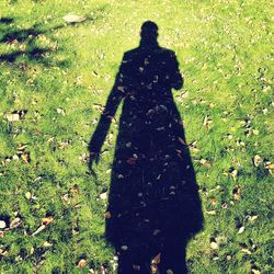 Shadow of tree on field