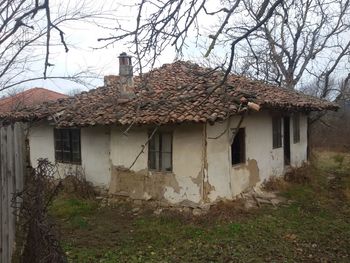 Abandoned house against bare tree