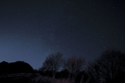 Low angle view of silhouette trees against sky at night