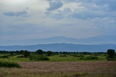 Scenic view of landscape against sky