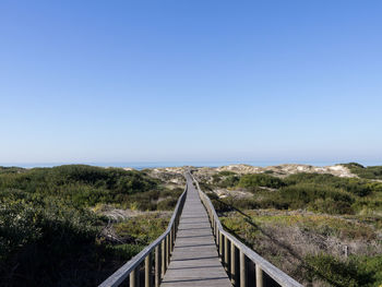 Boardwalk amidst plants against clear sky