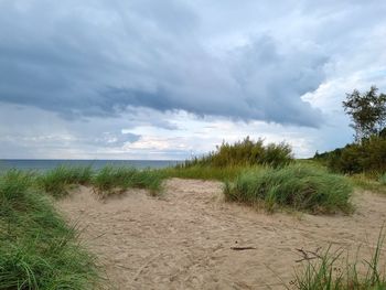 Scenic view of beach against sky