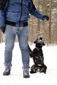 Low section of woman with dog standing on snow