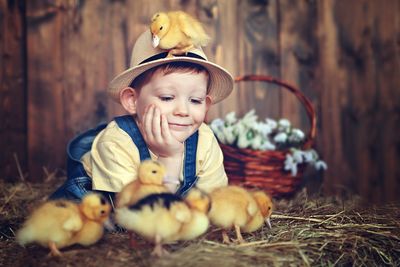 Smiling boy looking at ducklings in barn