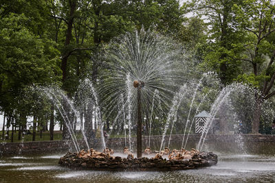 Water splashing in fountain against trees