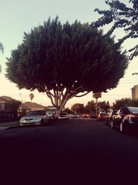 Cars on road in city