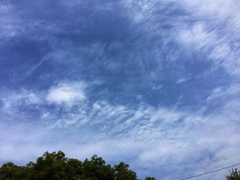 Low angle view of trees against sky