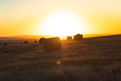 Hay bales on field against sky during sunset