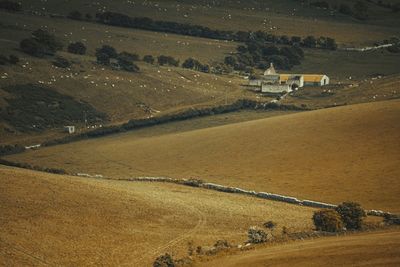 High angle view of agricultural field