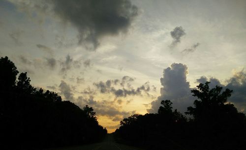 Silhouette of trees at sunset