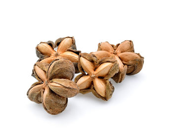 High angle view of garlic against white background