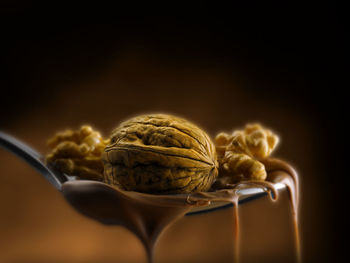 Close-up of ice cream on table against black background