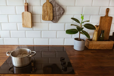 Potted plant in kitchen at home