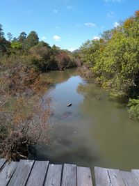 Scenic view of lake in forest against sky