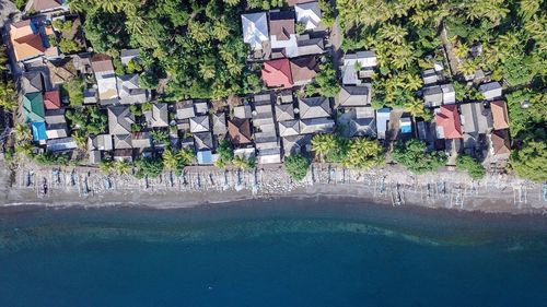 Reflection of trees and buildings in swimming pool