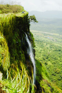 Scenic view of waterfall in forest