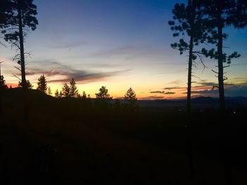 Silhouette trees against sky during sunset