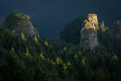 Morning landscapes from ceahlau mountain, romania.