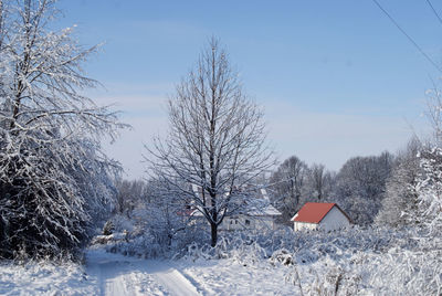 Bare trees against sky during winter