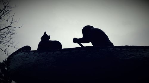 Low angle view of a cat