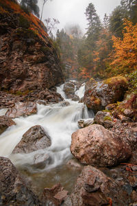 Stream flowing through rocks in forest