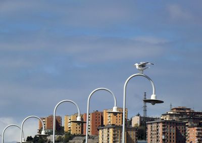 Low angle view of street light against sky