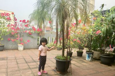 Woman standing by potted plants against trees