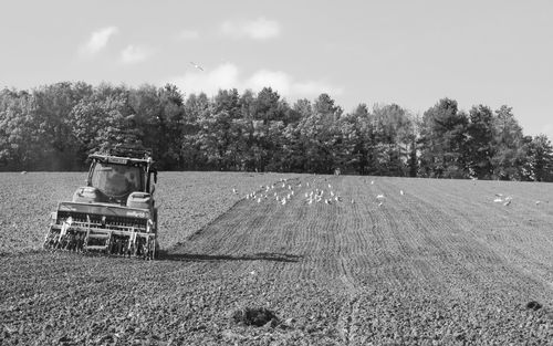 Tractor on field against sky