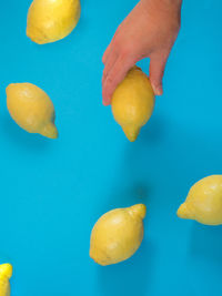 Cropped image of hand holding apple