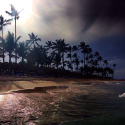 Silhouette palm trees on beach against sky