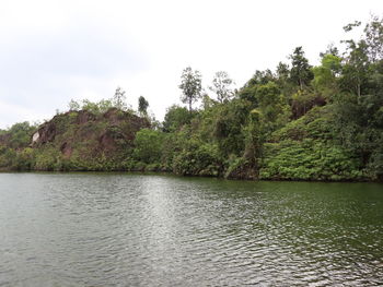 Scenic view of river by trees against sky