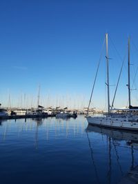 Sailboats in marina