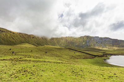 Scenic view of landscape against sky