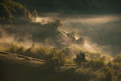 Mountain landscape in the spring season.