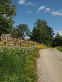 View of trees on field against sky