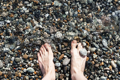 Female feet in sea water on a pebble shore top view in summer, many pebbles, copy space, relax