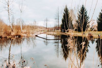 Reflection of trees in lake against sky