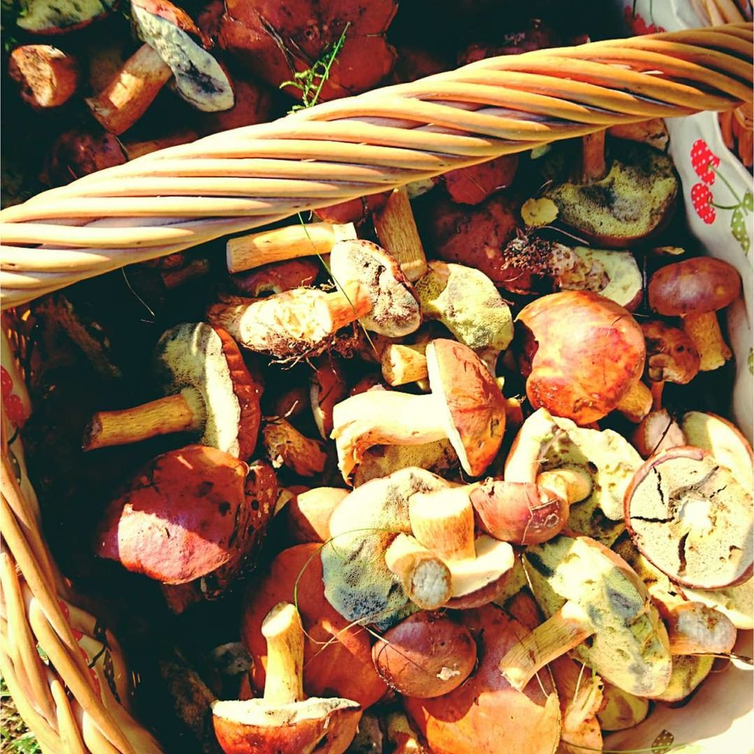 HIGH ANGLE VIEW OF VEGETABLES ON TRAY