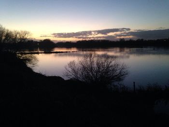 Reflection of trees in lake