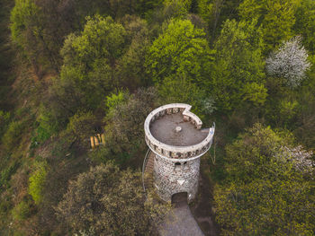 High angle view of trees in forest