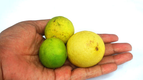Close-up of hand holding fruits against white background