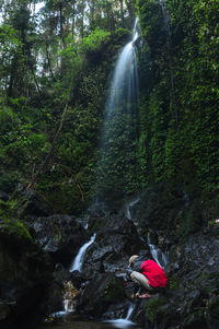 Waterfall in forest