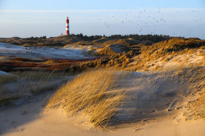 Amrum lighthouse in the evening sun, amrum germany