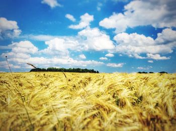 Scenic view of field against cloudy sky