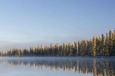 Reflection of trees in lake against sky
