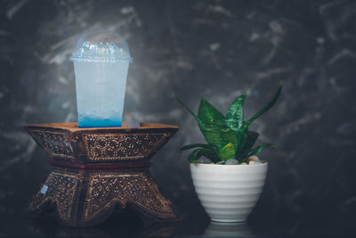 Close-up of potted plant on glass table