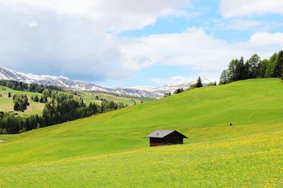 Scenic view of grassy field against cloudy sky