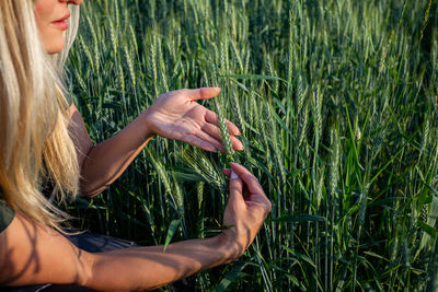 Cropped image of woman holding plant