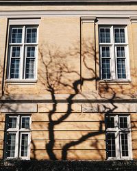 Building with windows